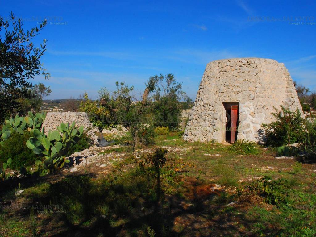 Terreno a Castrignano del capo in Strada Vicinale Terra Lacco - Foto 5