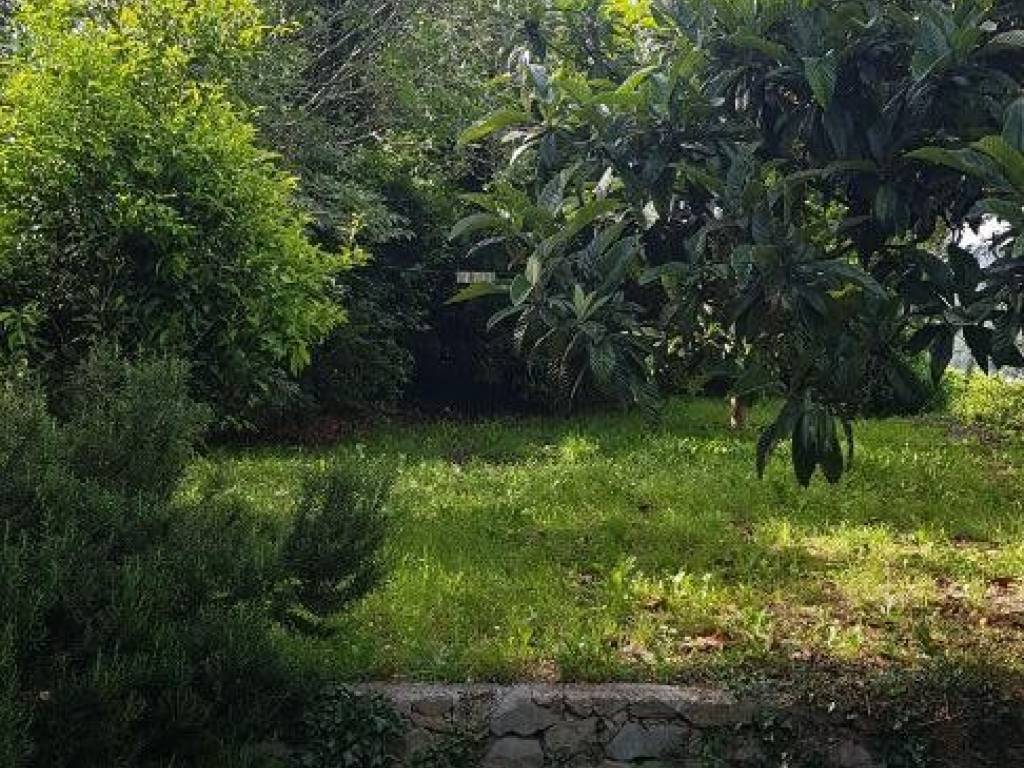 Appartamento a Noli in SP45 - Foto 4