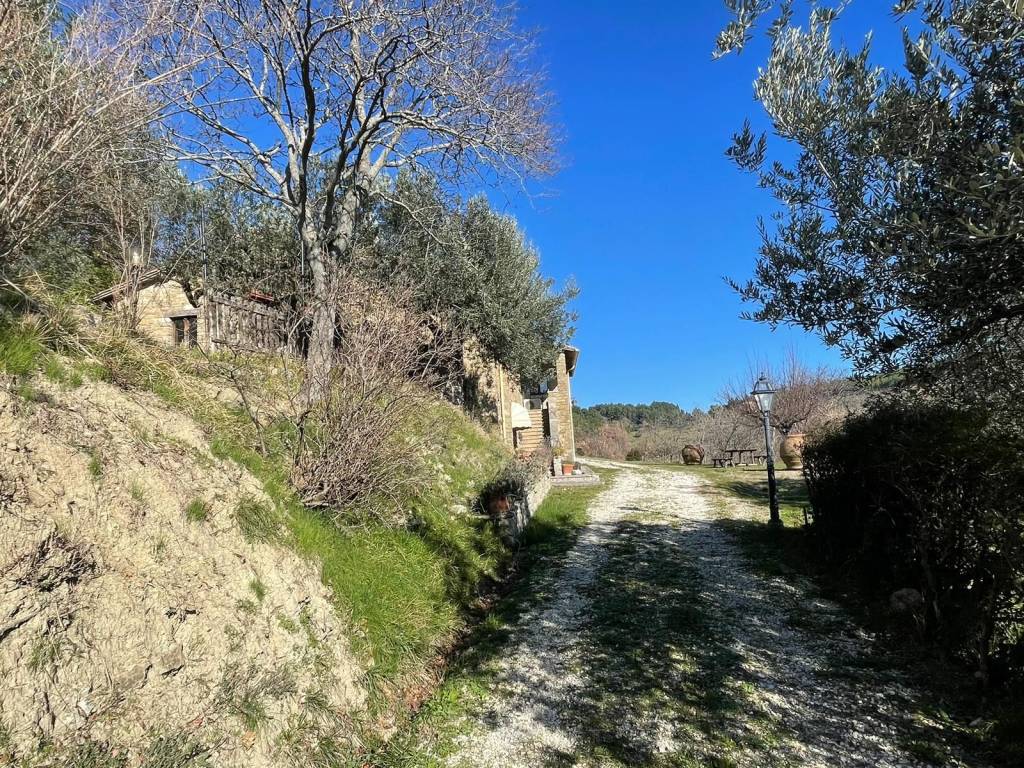 Rustico / casale a Assisi - Foto 4