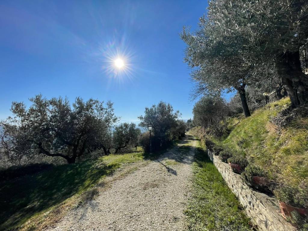 Rustico / casale a Assisi - Foto 5