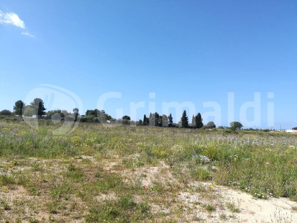 Terreno a Ugento in Via Pola, 1 - Foto 3