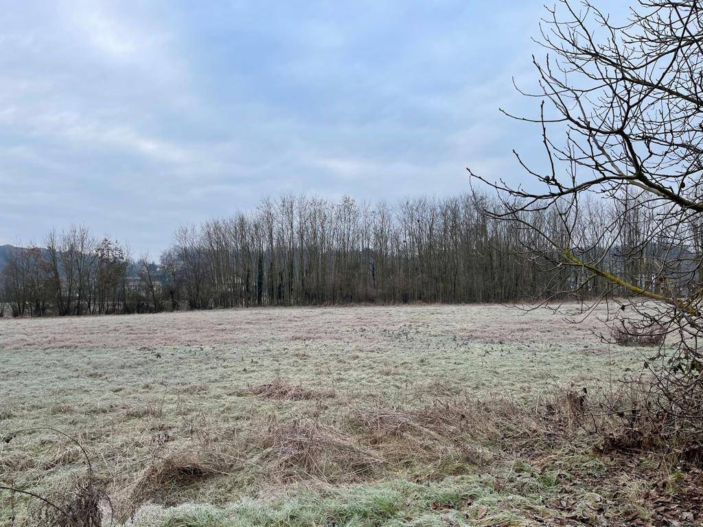 Rustico / casale a Cassine - Foto 4