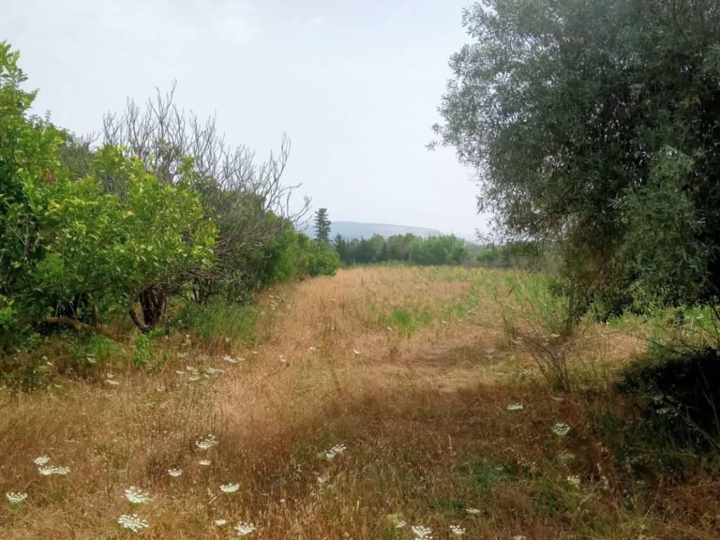 Immobile a Riola sardo in SP66 - Foto 3