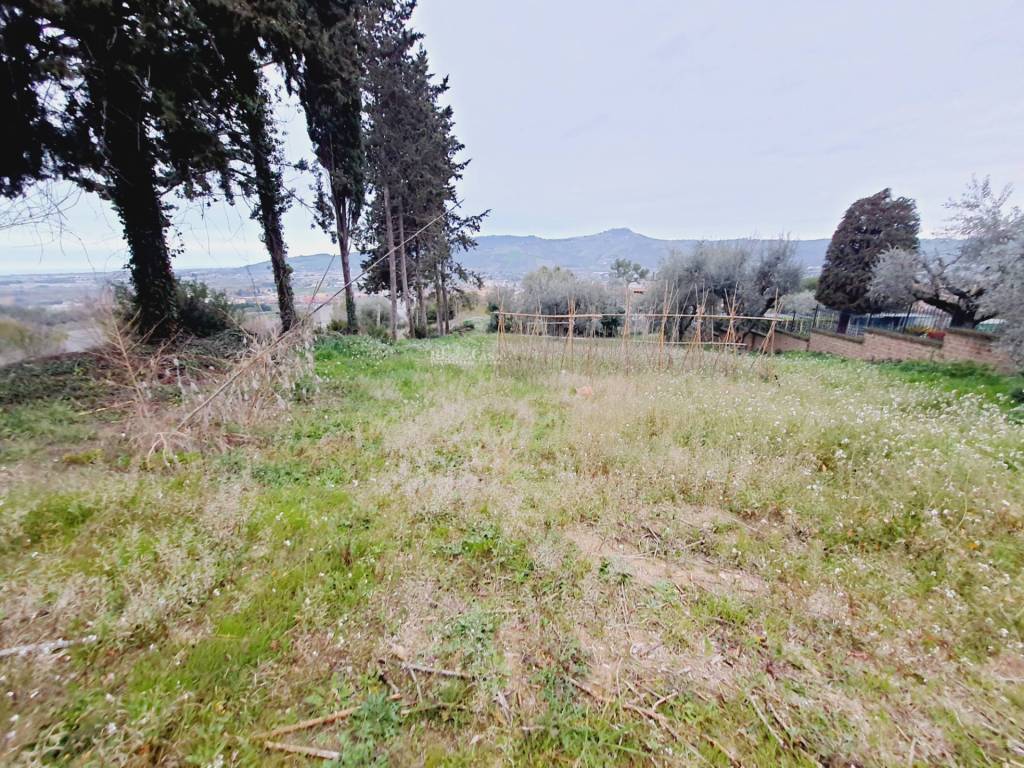 Terreno a Monteprandone in VIA 86A STRADA, 3 - Foto 3