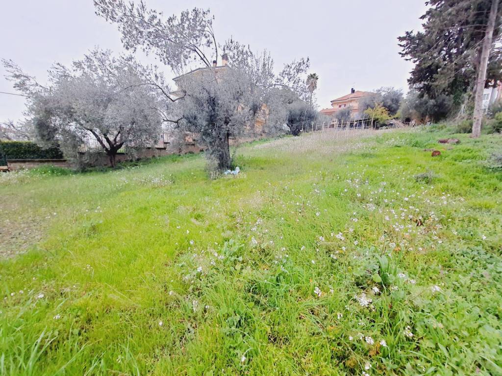 Terreno a Monteprandone in VIA 86A STRADA, 3 - Foto 4
