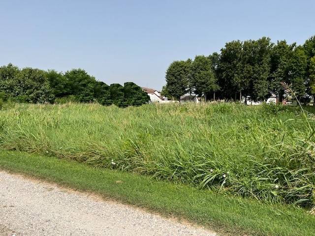 Terreno a San benedetto po - Foto 3