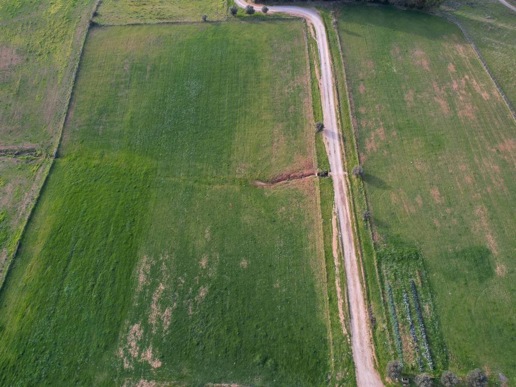 Terreno a Montalto di castro in Strada Provinciale Pescia Romana - Foto 3