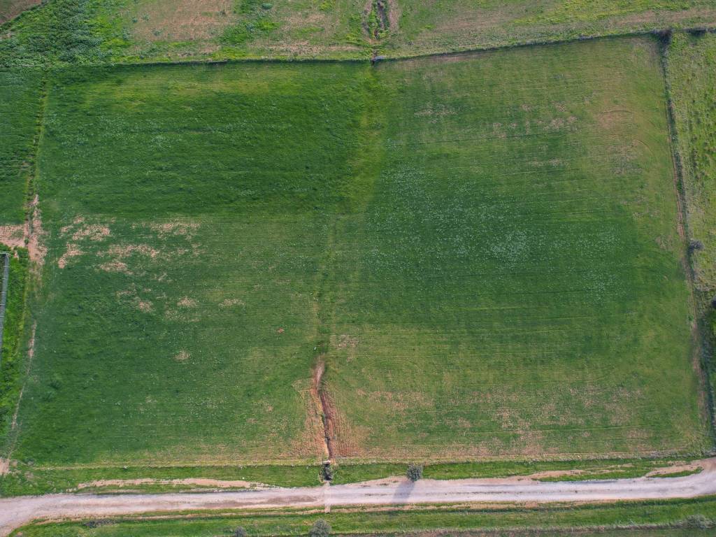Terreno a Montalto di castro in Strada Provinciale Pescia Romana - Foto 4