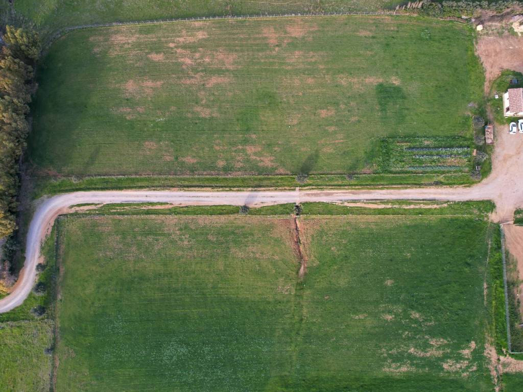 Terreno a Montalto di castro in Strada Provinciale Pescia Romana - Foto 5