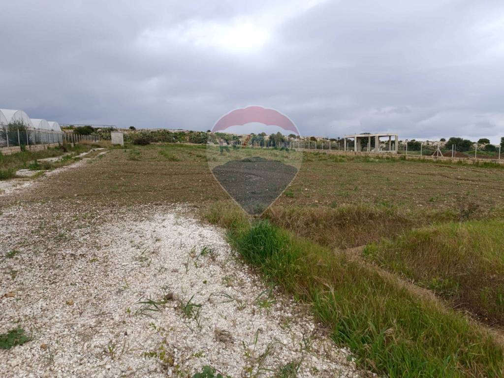 Terreno a Pachino in Strada Provinciale 97 - Foto 4