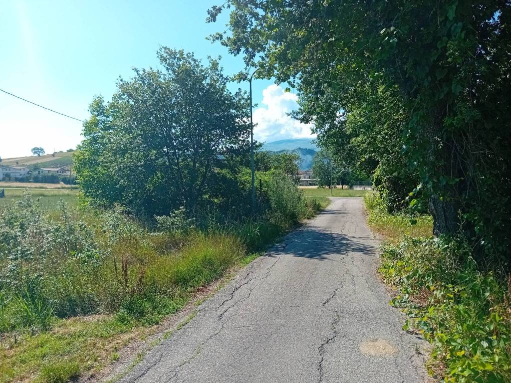 Terreno a Alanno - Foto 5