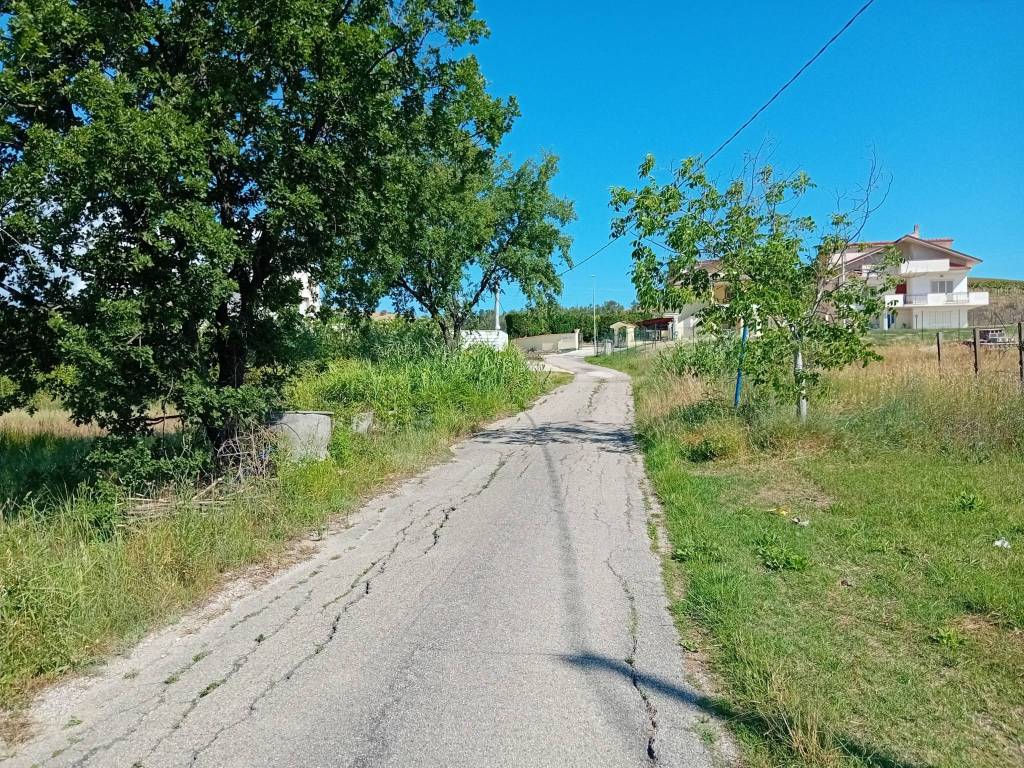 Terreno a Alanno - Foto 3