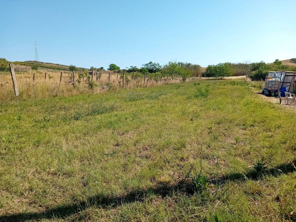 Terreno a Alanno - Foto 5