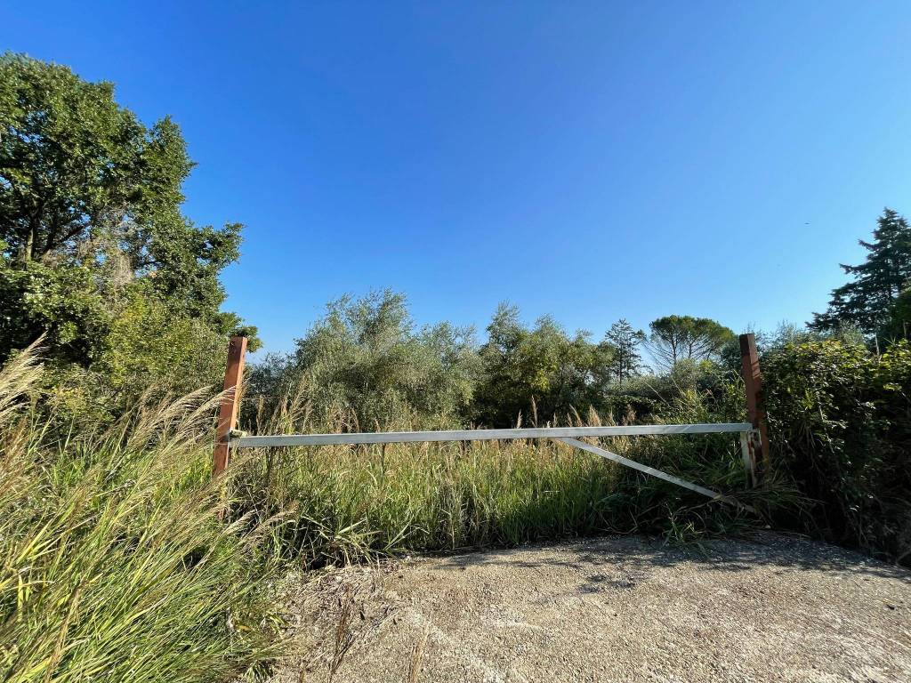 Terreno a Orte in Via Marzabotto - Foto 2