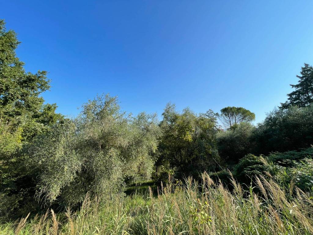 Terreno a Orte in Via Marzabotto - Foto 3