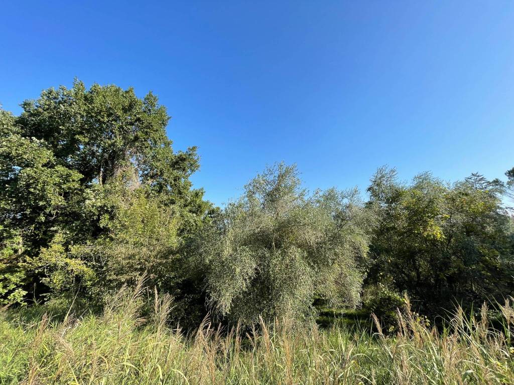 Terreno a Orte in Via Marzabotto - Foto 5