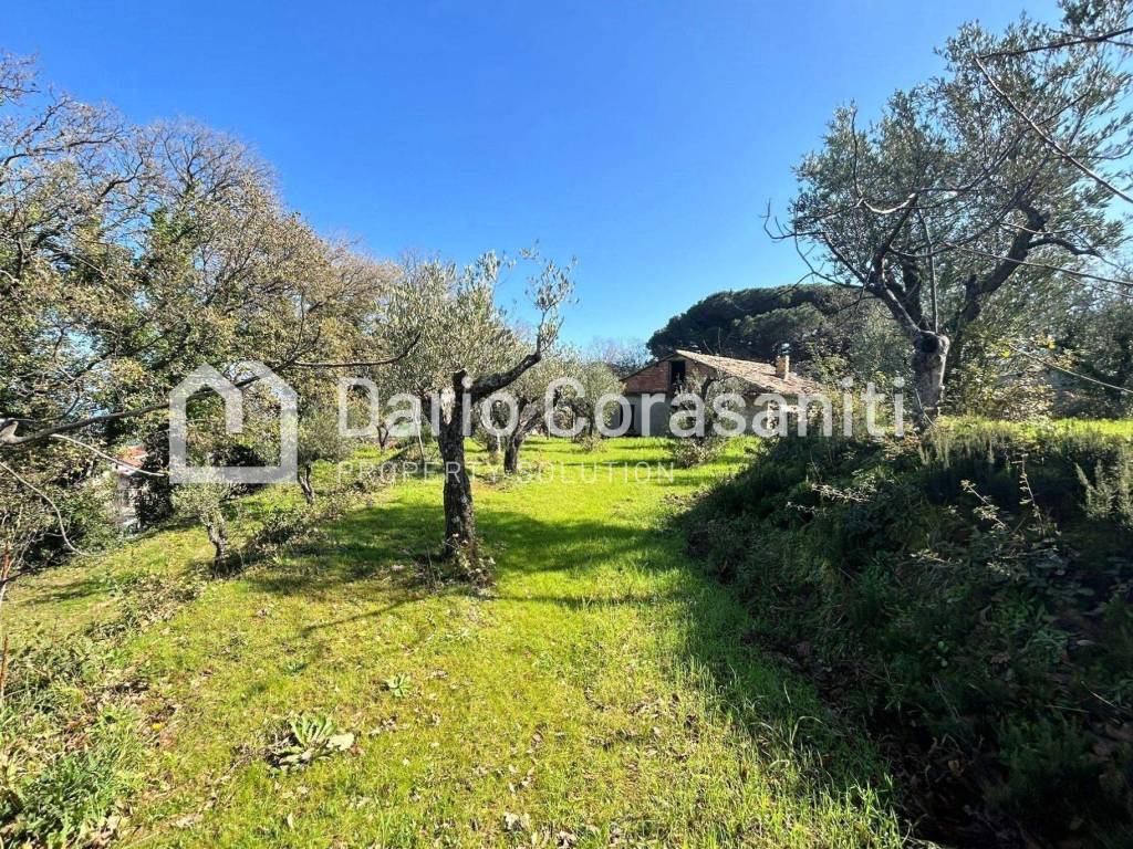Terreno a Davoli in Viale dei Caduti - Foto 3