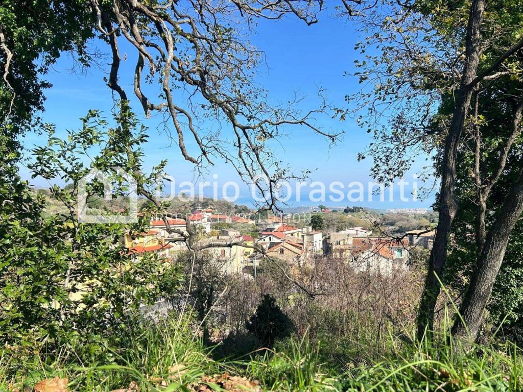 Terreno a Davoli in Viale dei Caduti - Foto 4