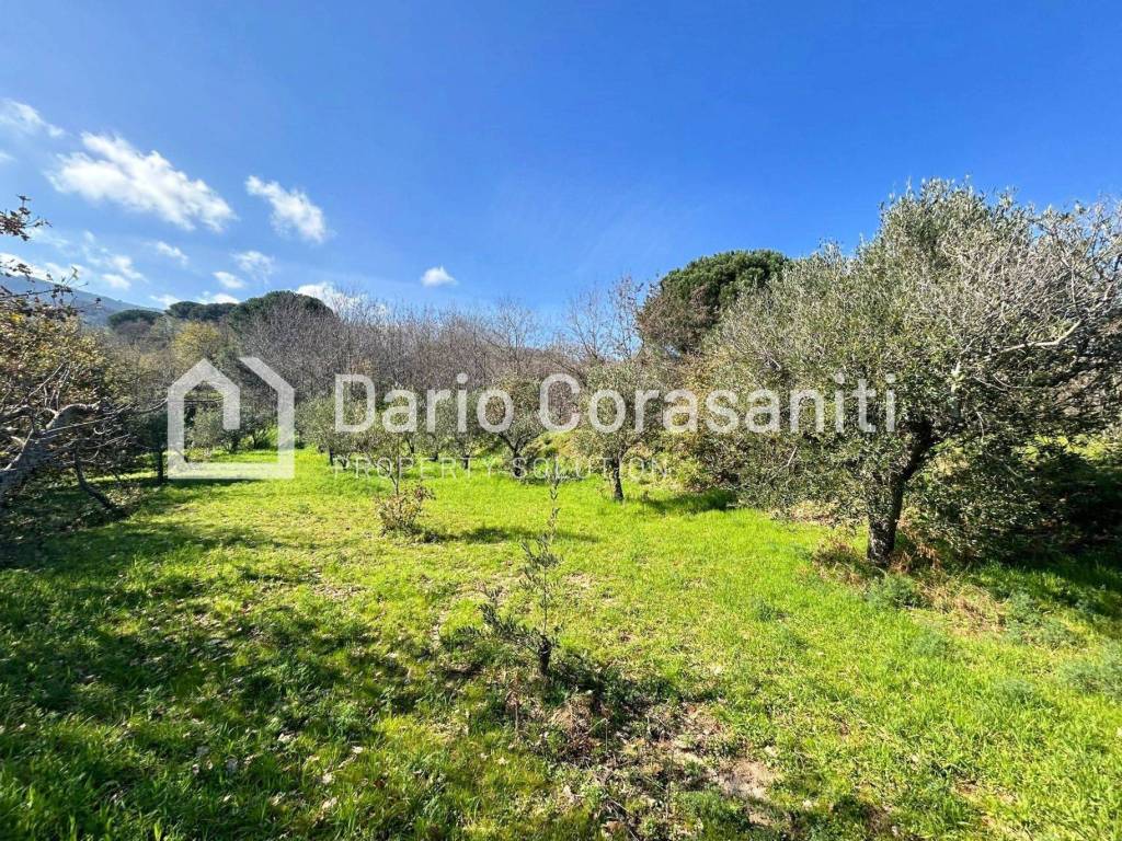 Terreno a Davoli in Viale dei Caduti - Foto 5