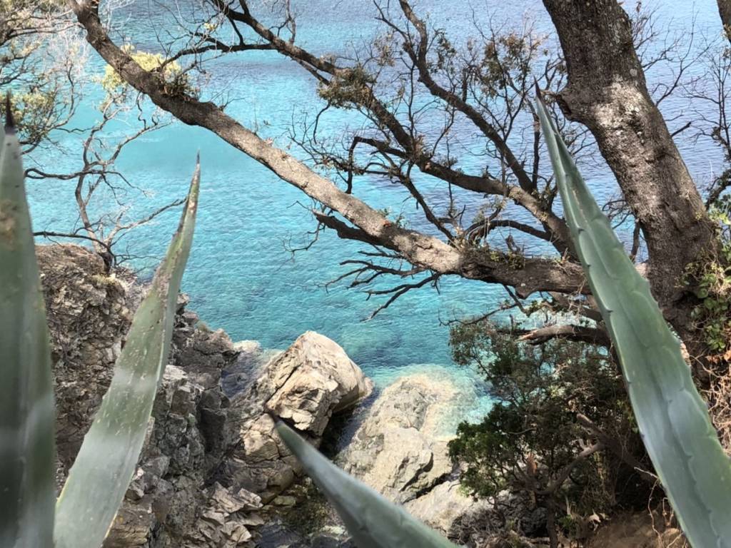 Rustico / casale a Marciana marina in Località La Caletta, 11 - Foto 2