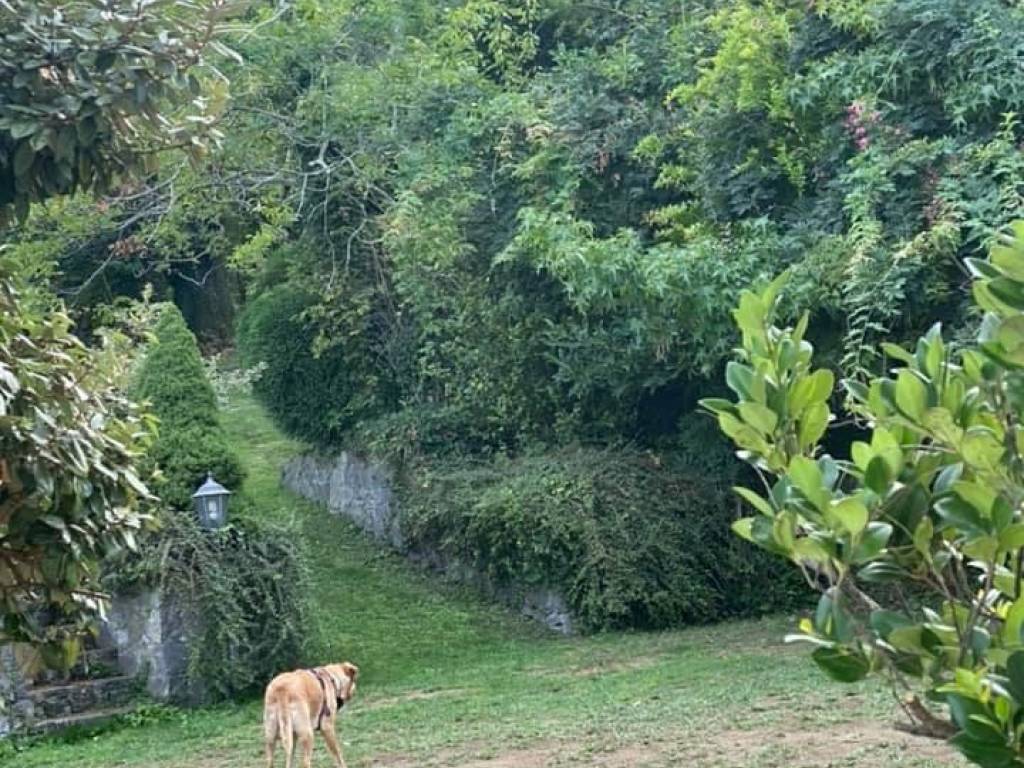 Villa a Roccamonfina in Via Giglioli, 5 - Foto 3