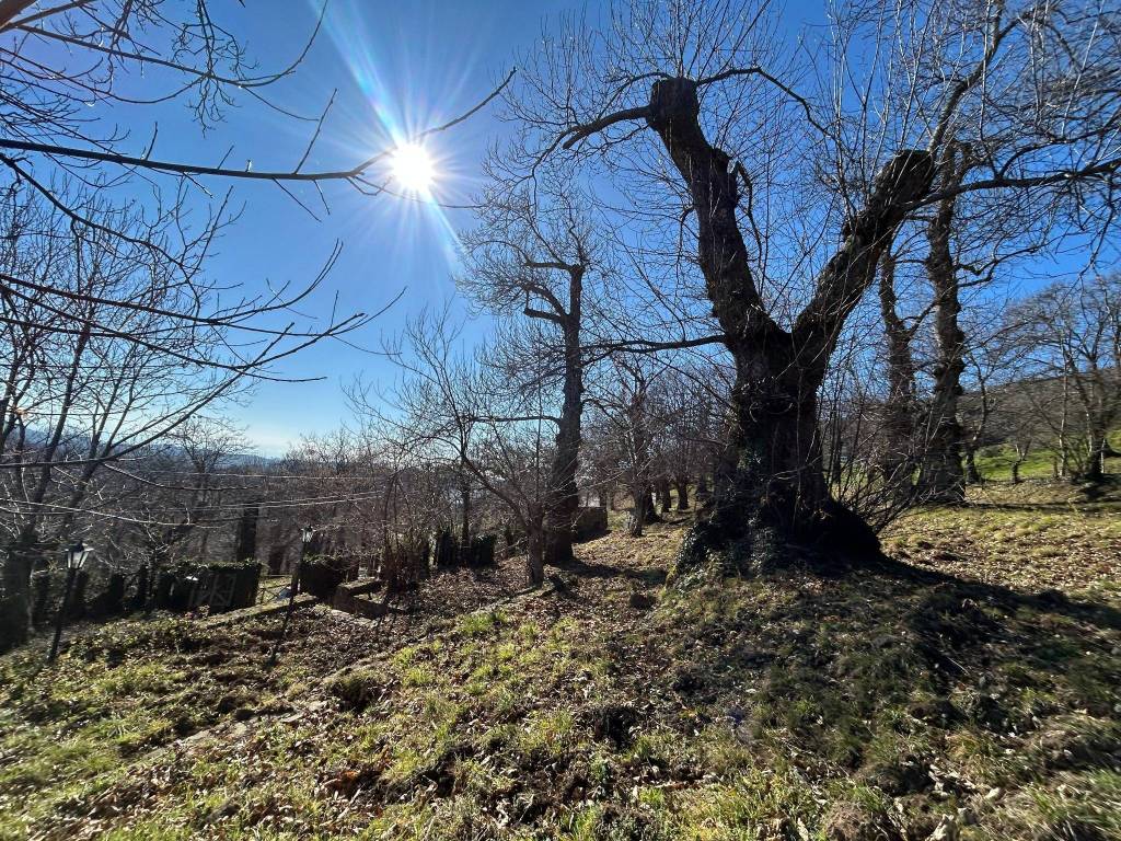 Villa a Roccamonfina in Via Giglioli, 5 - Foto 5