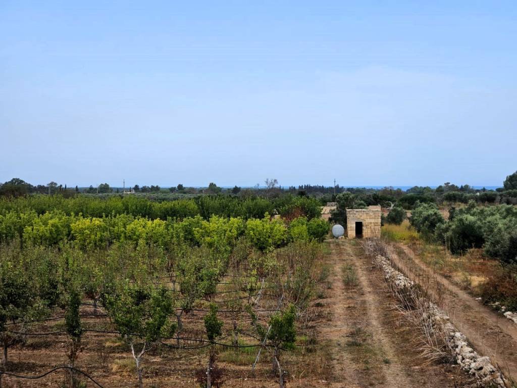Terreno a Alezio in Strada Provinciale San Nicola Alezio Taviano - Foto 4