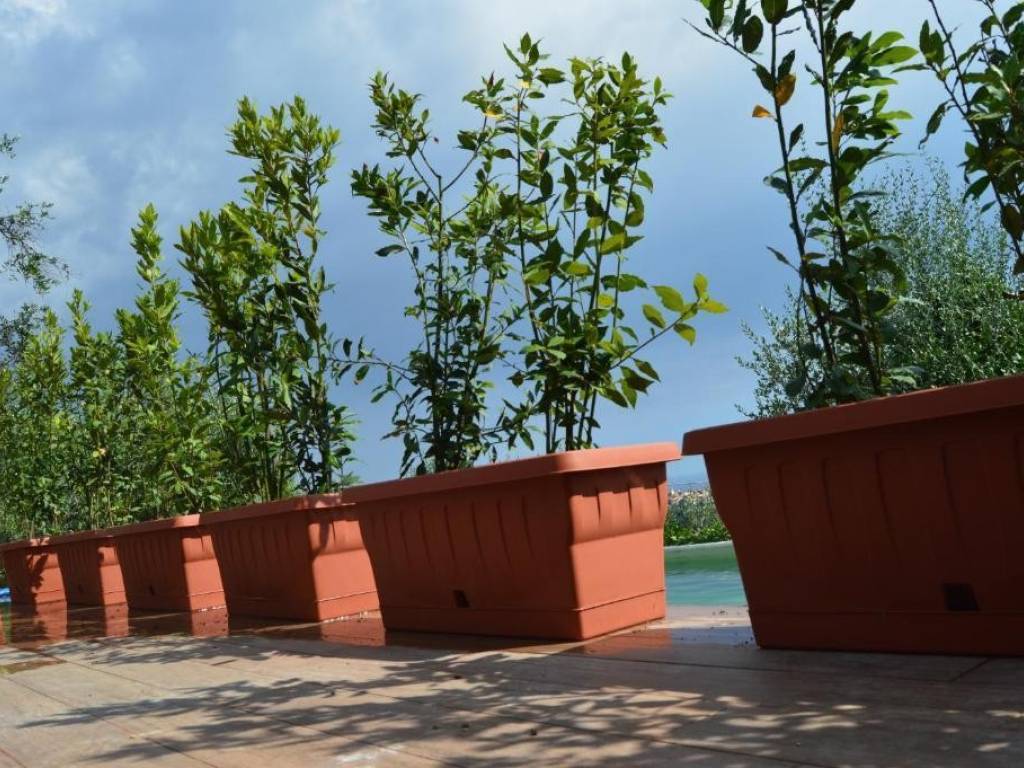 Villa a Castelnuovo magra in Via dei Pini, 9 - Foto 4
