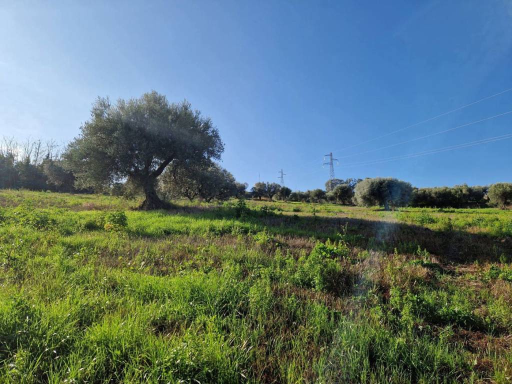 Terreno a Roseto degli abruzzi in Contrada Polo Grande - Foto 2