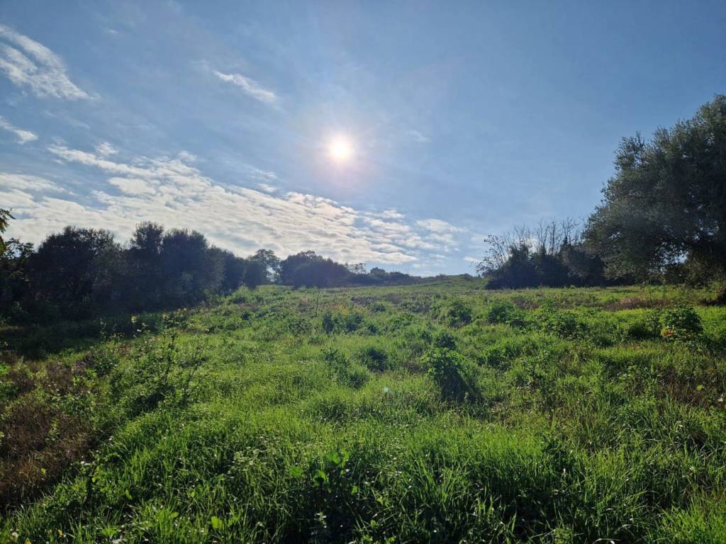 Terreno a Roseto degli abruzzi in Contrada Polo Grande - Foto 3