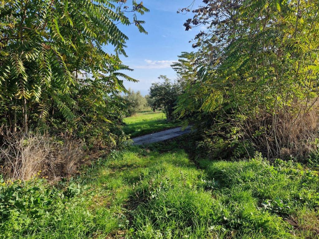 Terreno a Roseto degli abruzzi in Contrada Polo Grande - Foto 4
