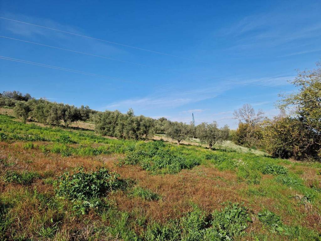 Terreno a Roseto degli abruzzi in Contrada Polo Grande - Foto 5