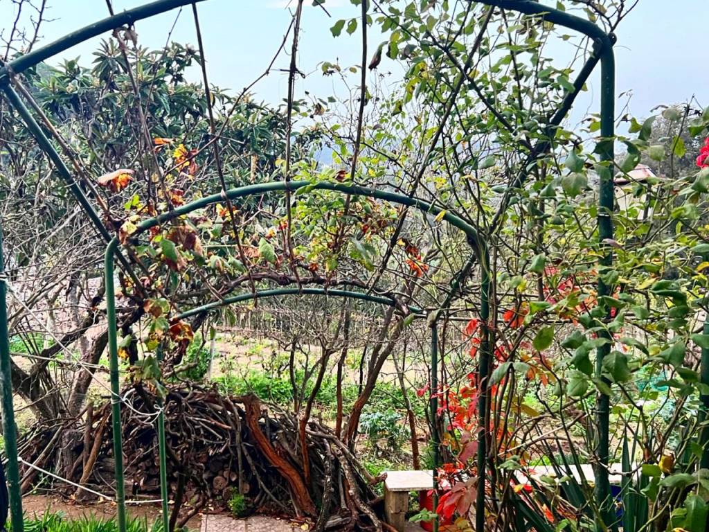 Rustico / casale a Monte argentario in Località San Pietro - Foto 2