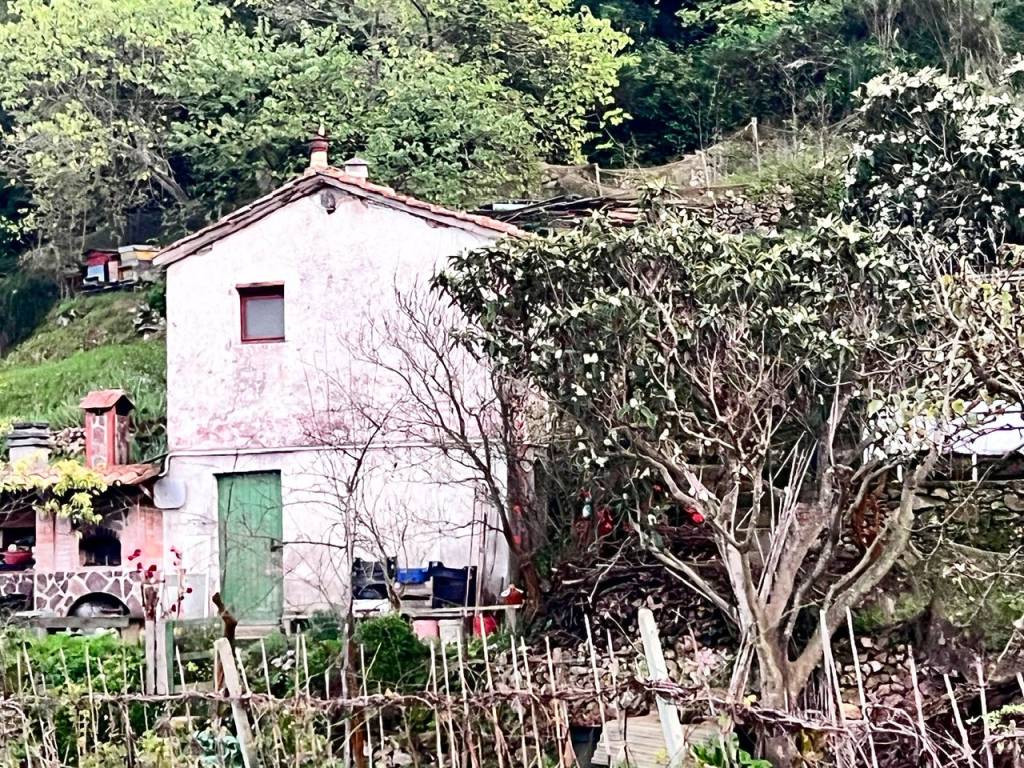 Rustico / casale a Monte argentario in Località San Pietro - Foto 3