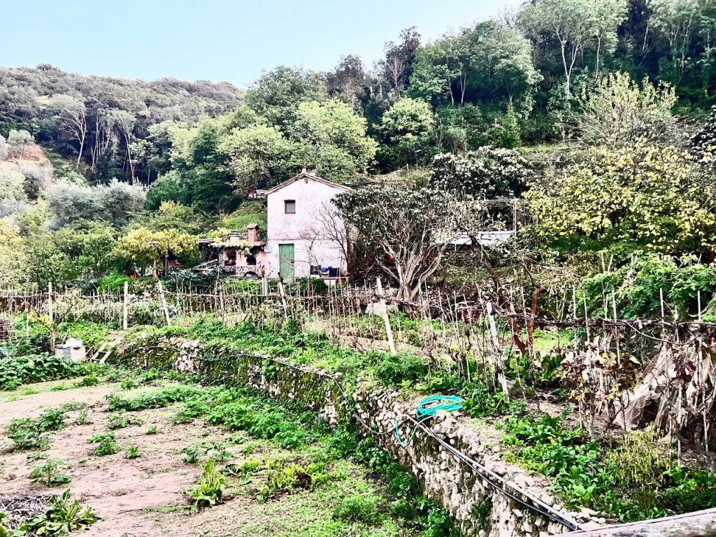 Rustico / casale a Monte argentario in Località San Pietro - Foto 4