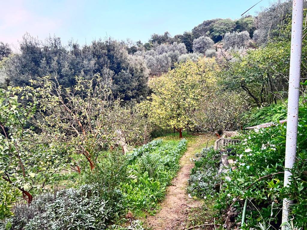 Rustico / casale a Monte argentario in Località San Pietro - Foto 5
