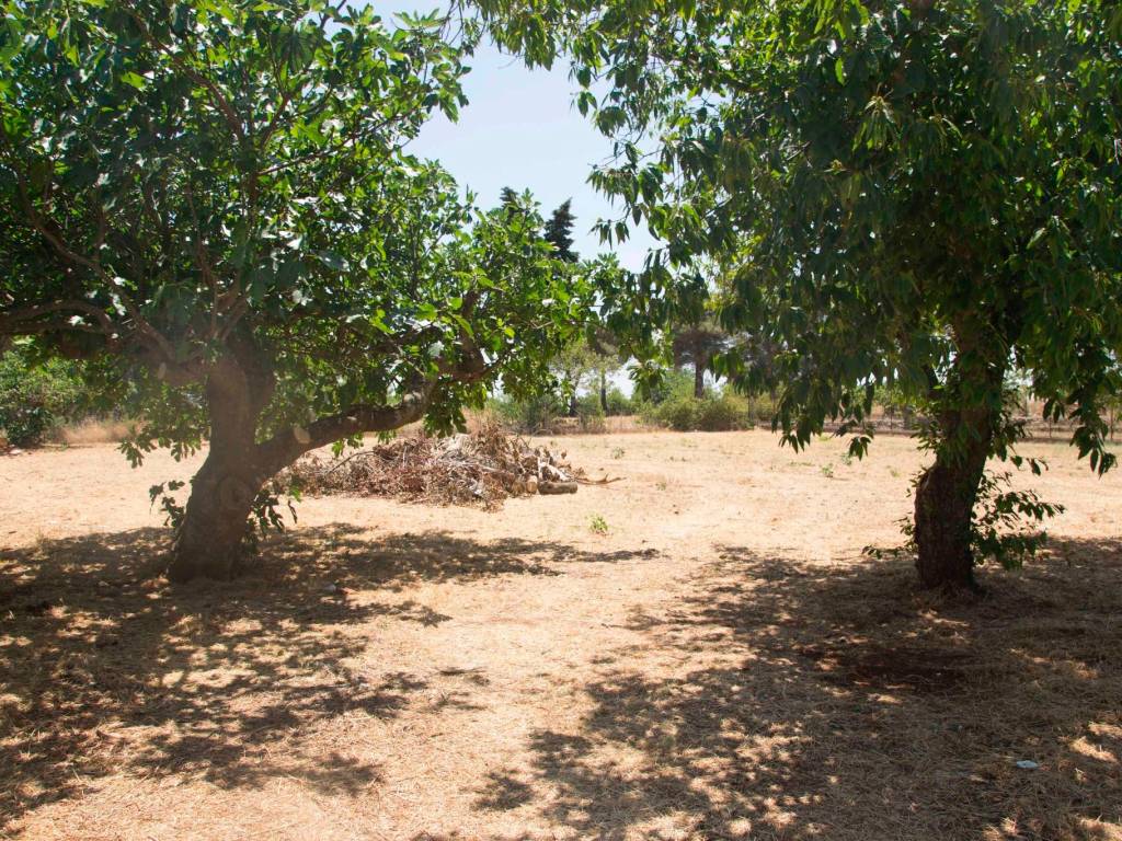 Villa a Martina franca in Strada Massafra Zona F - Foto 3