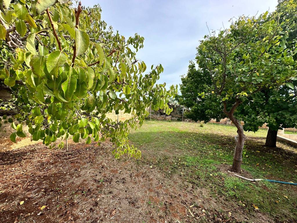 Villa a Salve in Via Litoranea - Foto 2