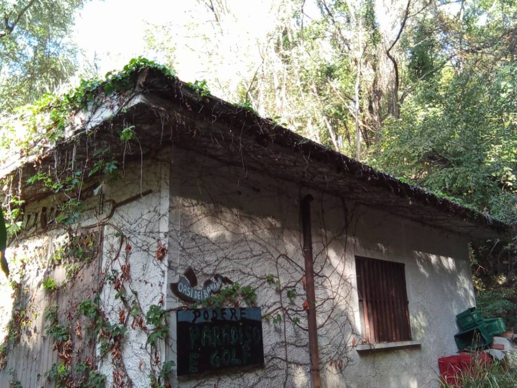Rustico / casale a Monsummano terme - Foto 4