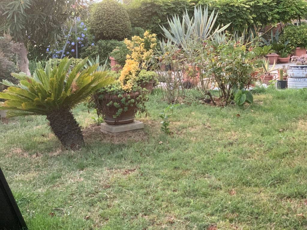 Villa a Riccione in Viale Romagna - Foto 3