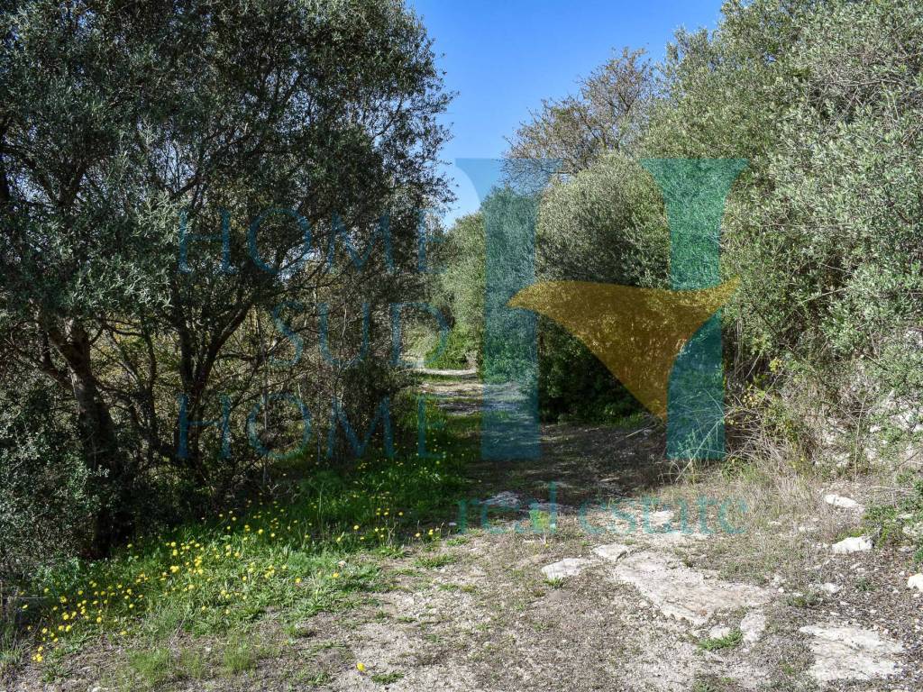 Rustico / casale a Modica in Contrada Calanchi Frigintini, 137 - Foto 3