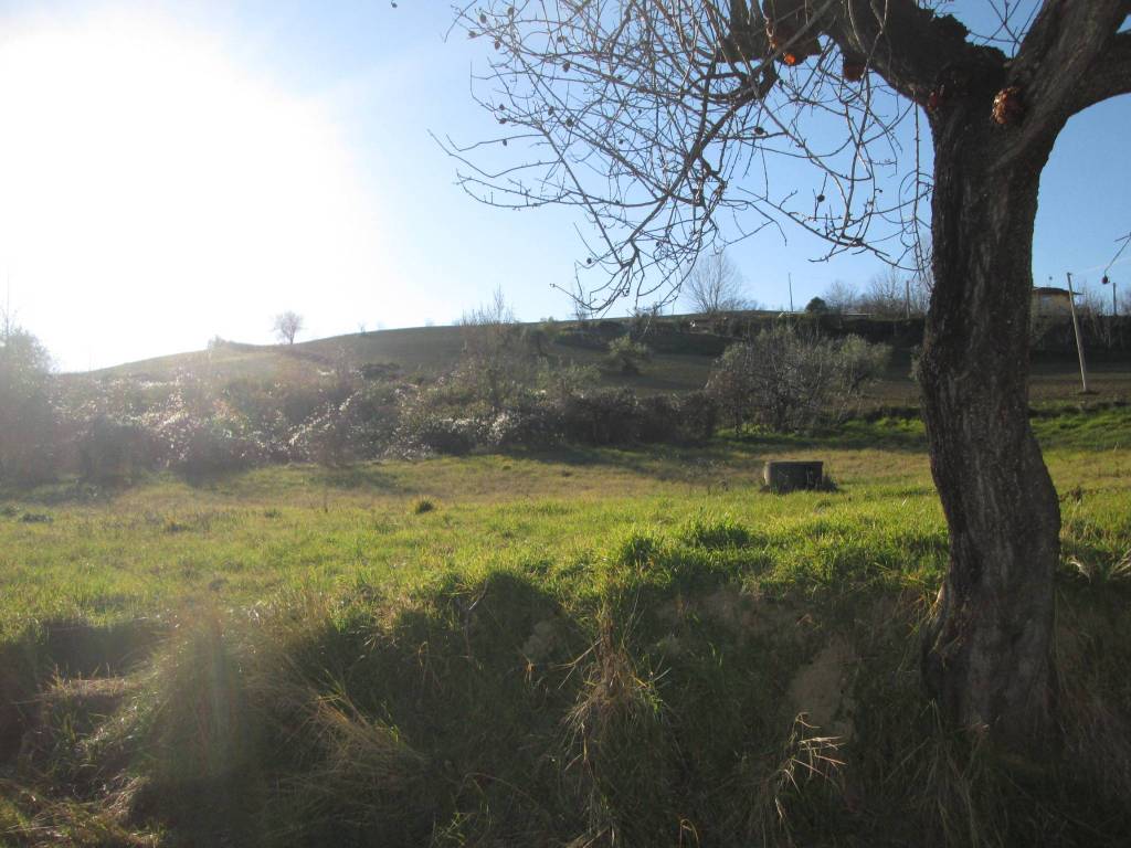 Rustico / casale a Penne - Foto 4