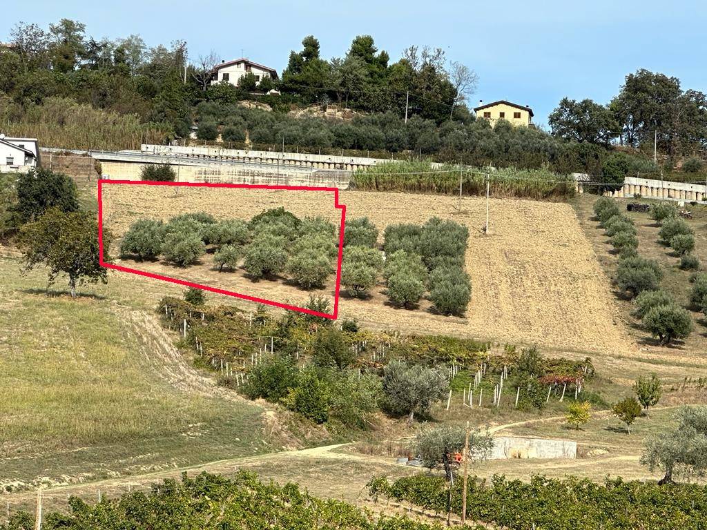 Terreno a Atri in Contrada Cona - Foto 2
