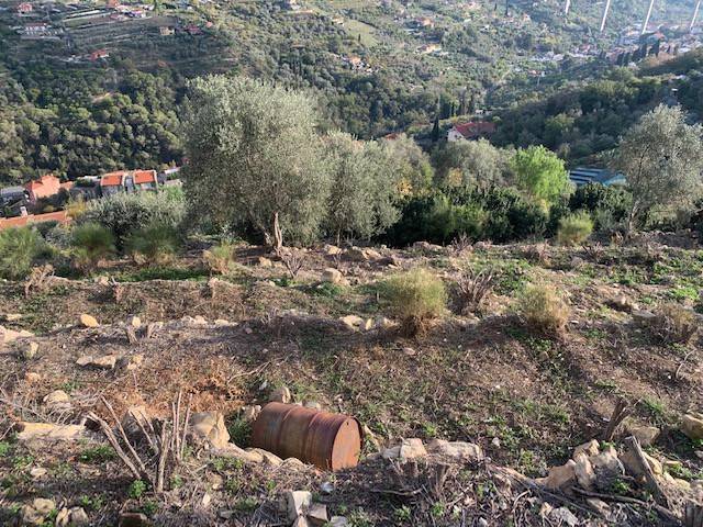 Terreno a Vallebona in Località Maciurina - Foto 5
