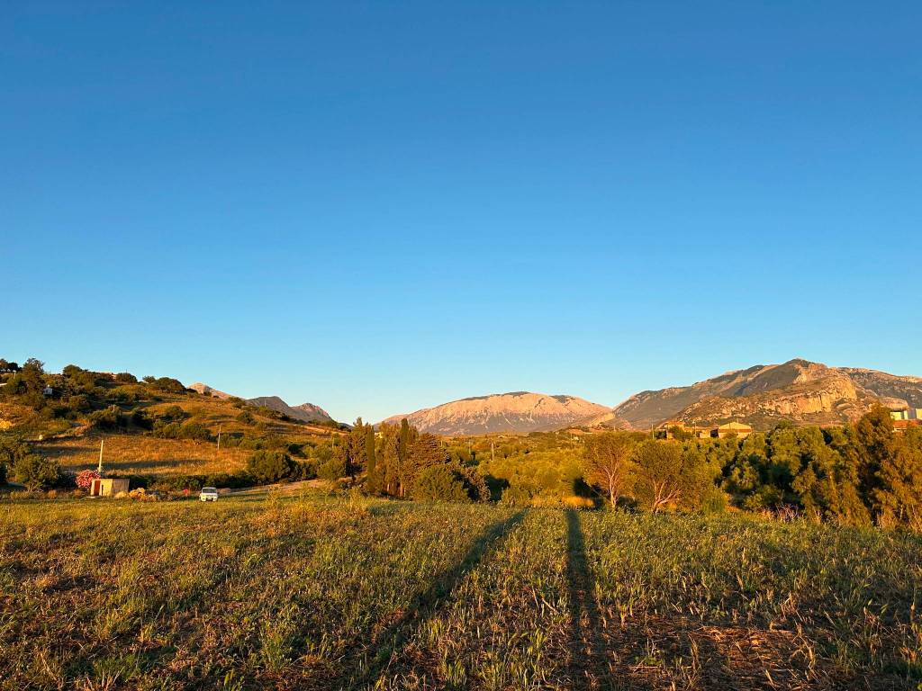 Terreno a Collesano in contrada Sovarazzo - Foto 3