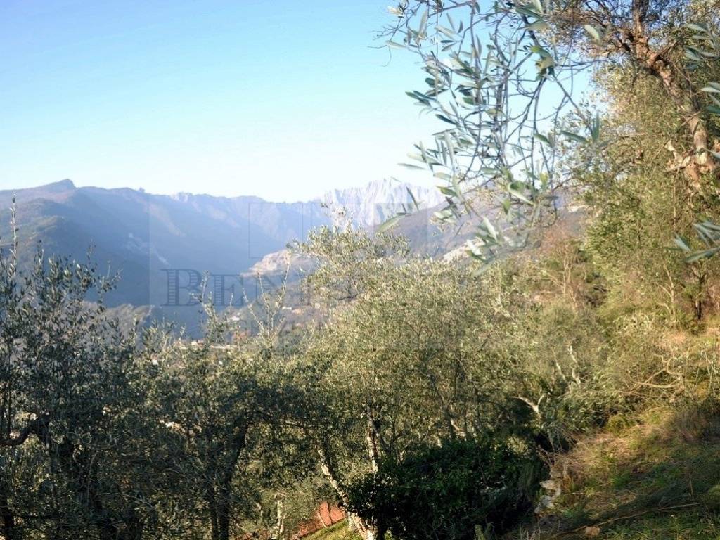 Rustico / casale a Pietrasanta in Via Capezzano, 33 - Foto 2