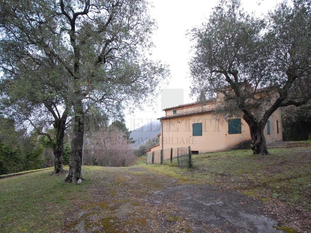 Rustico / casale a Pietrasanta in Via Capezzano, 33 - Foto 4