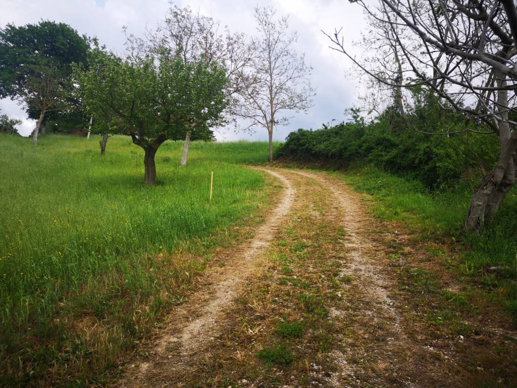 Rustico / casale a Matelica in Via Peschiera - Foto 5