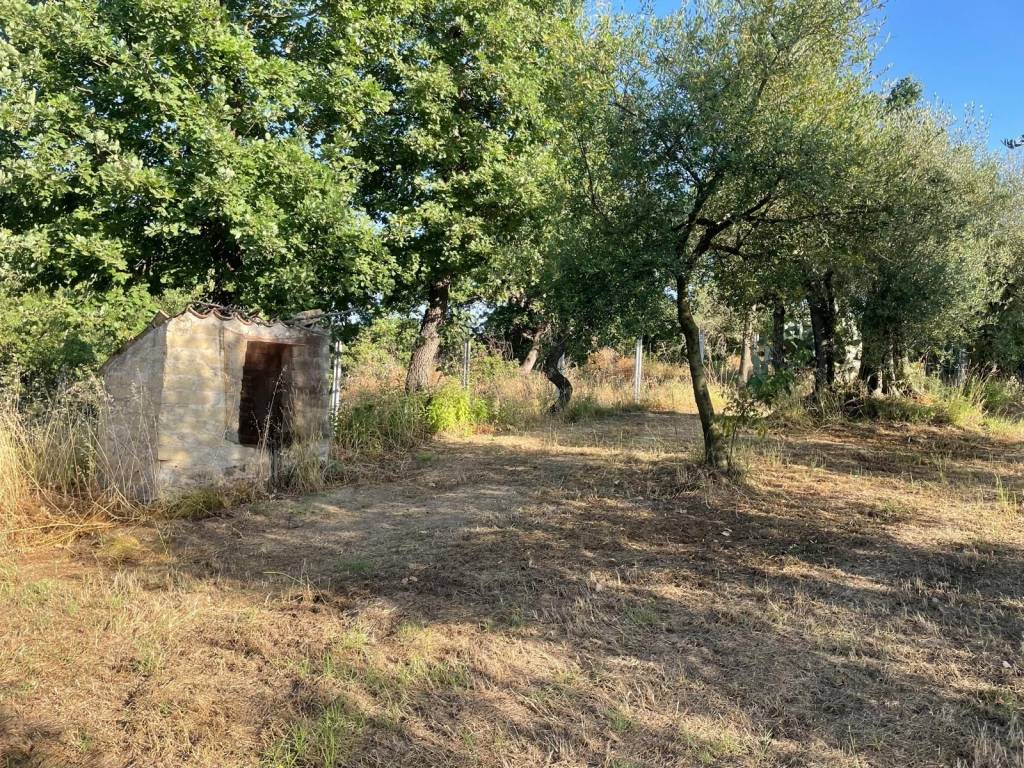 Rustico / casale a Teano in SAN MARCO DI TEANO - Foto 4
