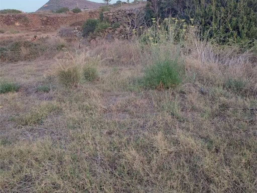 Rustico / casale a Pantelleria - Foto 3